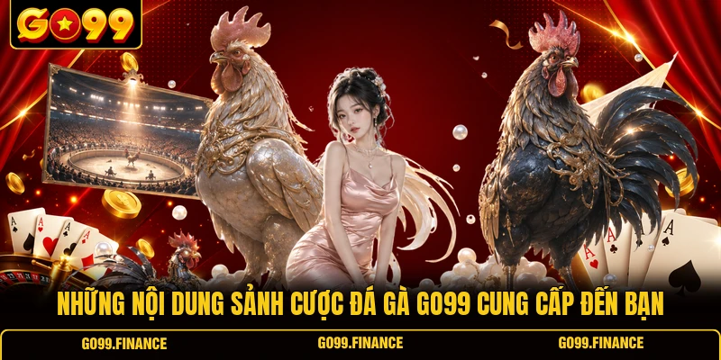 nhung noi dung sanh cuoc da ga go99 cung cap den ban Những nội dung sảnh cược đá gà GO99 cung cấp đến bạn