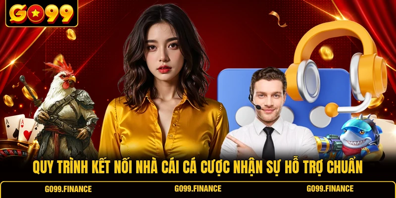 quy trinh ket noi nha cai ca cuoc nhan su ho tro chuan Quy trình kết nối nhà cái cá cược nhận sự hỗ trợ chuẩn